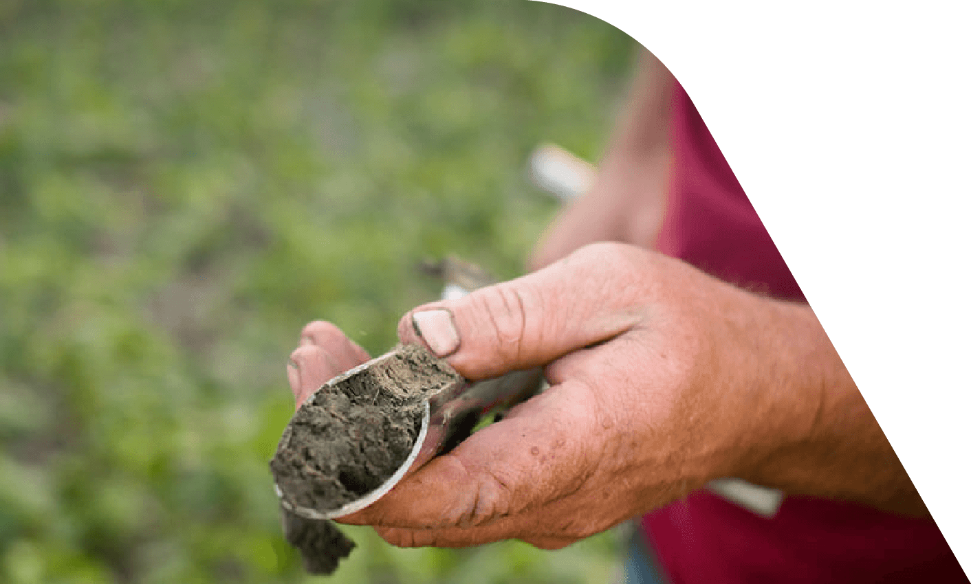 a farmer holds a test sample of soil