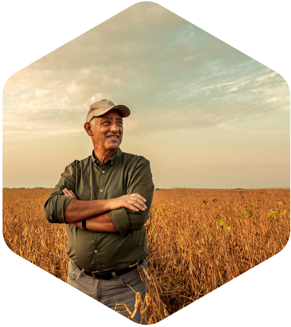 A farmer smiles while standing in a high-yield wheat field.